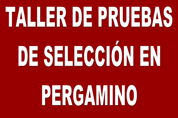 Taller Pruebas de Selección Ciudad Pergamino