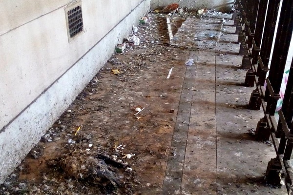UDOCBA - Por la invasión de palomas, en el Normal 1 aconsejan que los chicos no vayan a clases