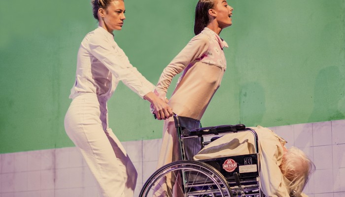 LOS PACIENTES, UN ENSAYO SOBRE LA FRAGILIDAD